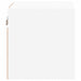 Comode TV de perete cu lumini LED, alb, 30x28,5x30 cm - WALTI WALTI