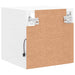 Comode TV de perete cu lumini LED, alb, 30x28,5x30 cm - WALTI WALTI