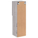Comode TV cu lumini LED, 2 buc., gri sonoma, 30,5x30x102 cm - WALTI WALTI