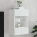 Comodă TV de perete cu lumini LED, alb, 40x30x60,5 cm - WALTI WALTI
