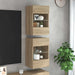 Comode de perete cu lumini LED pentru TV, 2 buc. stejar sonoma, 40x30x60,5 cm - WALTI WALTI