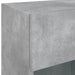 Comodă TV de perete cu lumini LED, gri beton, 40x30x60,5 cm - WALTI WALTI