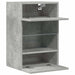 Comode de perete cu lumini LED pentru TV 2 buc. gri beton 40x30x60,5cm - WALTI WALTI