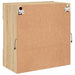 Comodă TV de perete cu LED, stejar sonoma, 58,5x30x60,5 cm - WALTI WALTI