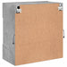 Comodă TV de perete cu lumini LED, gri beton, 58,5x30x60,5 cm - WALTI WALTI