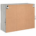 Comodă TV de perete cu lumini LED, gri sonoma, 78,5x30x60,5 cm - WALTI WALTI