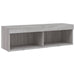 Comodă TV cu lumini LED, gri sonoma, 100x30x30 cm - WALTI WALTI