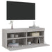 Comodă TV de perete cu lumini LED, gri sonoma, 100x30x40 cm - WALTI WALTI