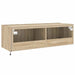 Comodă TV de perete cu lumini LED, stejar sonoma, 100x35x31 cm - WALTI WALTI