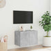 Comodă TV de perete cu lumini LED, gri beton, 60x35x41 cm - WALTI WALTI