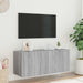 Comodă TV de perete cu lumini LED, gri sonoma, 100x35x41 cm - WALTI WALTI