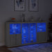 Servantă cu lumini LED, gri sonoma, 202x37x100 cm - WALTI WALTI