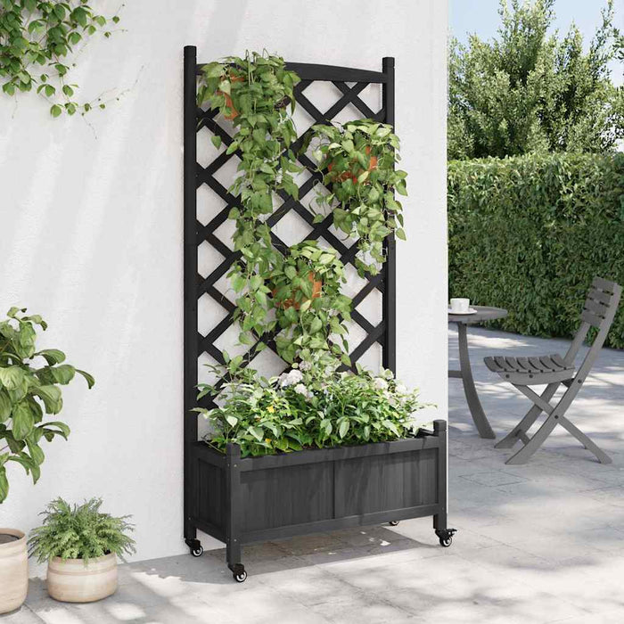Jardinieră cu spalier și roți, negru, lemn masiv de brad - WALTI WALTI