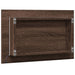 Oglindă de baie LED, stejar maro, 60x8,5x38 cm lemn prelucrat - WALTI WALTI