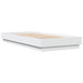  WALTI