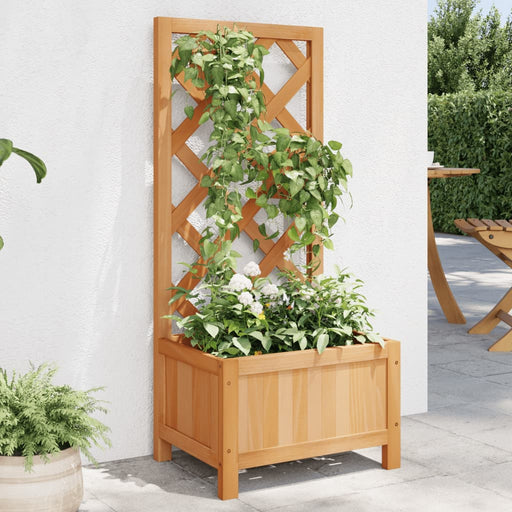 Jardinieră cu spalier, maro, lemn masiv de brad - WALTI WALTI