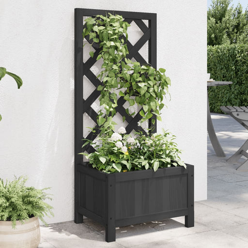 Jardinieră cu spalier, negru, lemn masiv de brad - WALTI WALTI