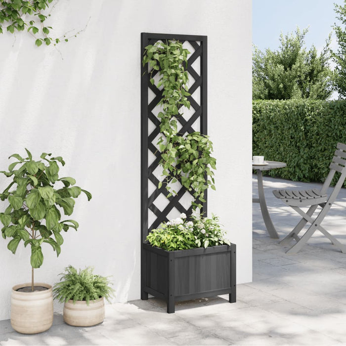 Jardinieră cu spalier, negru, lemn masiv de brad - WALTI WALTI