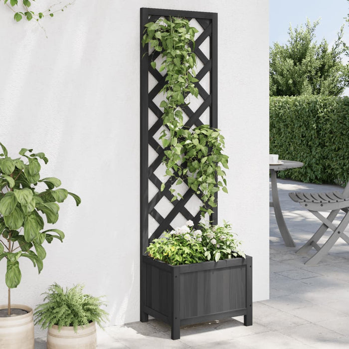 Jardinieră cu spalier, negru, lemn masiv de brad - WALTI WALTI