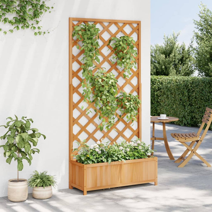 Jardinieră cu spalier, maro, lemn masiv de brad - WALTI WALTI