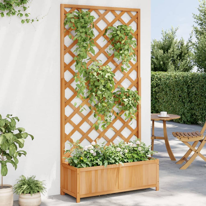 Jardinieră cu spalier, maro, lemn masiv de brad - WALTI WALTI