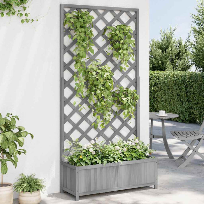 Jardinieră cu spalier, gri, lemn masiv de brad - WALTI WALTI