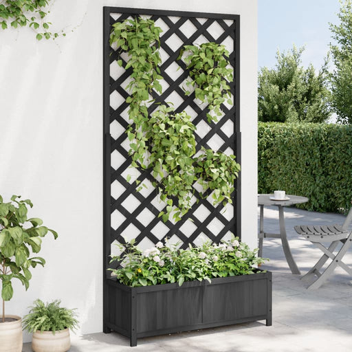 Jardinieră cu spalier, negru, lemn masiv de brad - WALTI WALTI