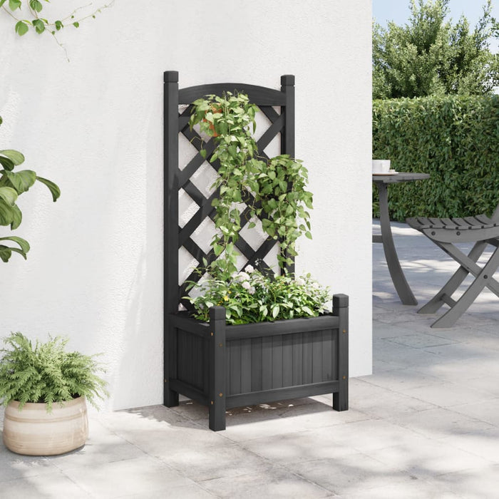 Jardinieră cu spalier, negru, lemn masiv de brad - WALTI WALTI