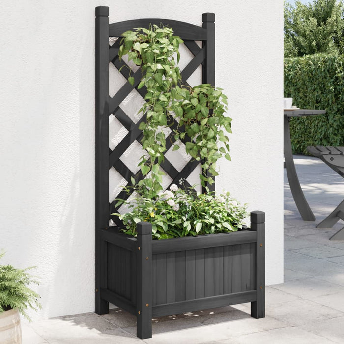 Jardinieră cu spalier, negru, lemn masiv de brad - WALTI WALTI