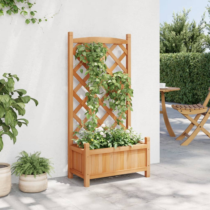 Jardinieră cu spalier, maro, lemn masiv de brad - WALTI WALTI
