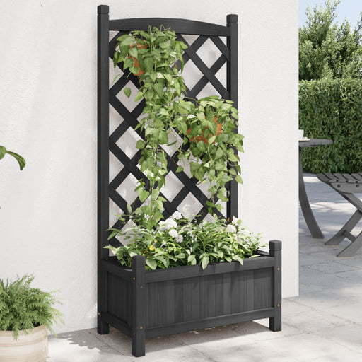 Jardinieră cu spalier, negru, lemn masiv de brad - WALTI WALTI