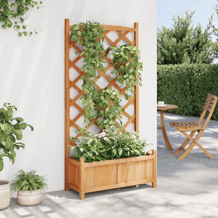 Jardinieră cu spalier, maro, lemn masiv de brad - WALTI WALTI