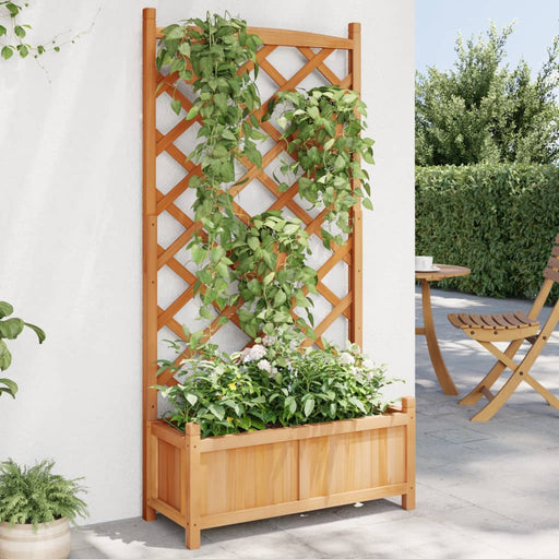 Jardinieră cu spalier, maro, lemn masiv de brad - WALTI WALTI