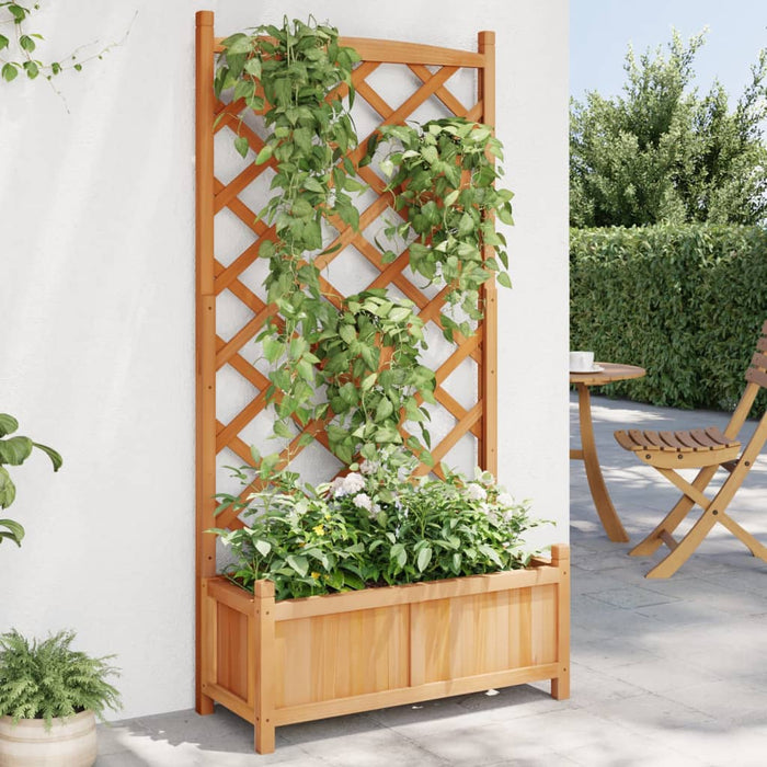 Jardinieră cu spalier, maro, lemn masiv de brad - WALTI WALTI