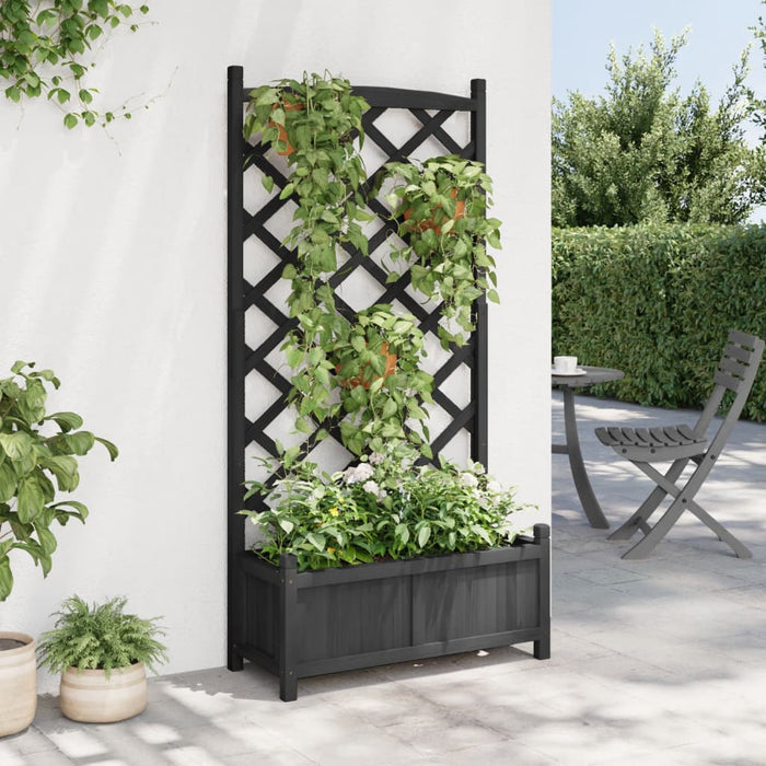 Jardinieră cu spalier, negru, lemn masiv de brad - WALTI WALTI