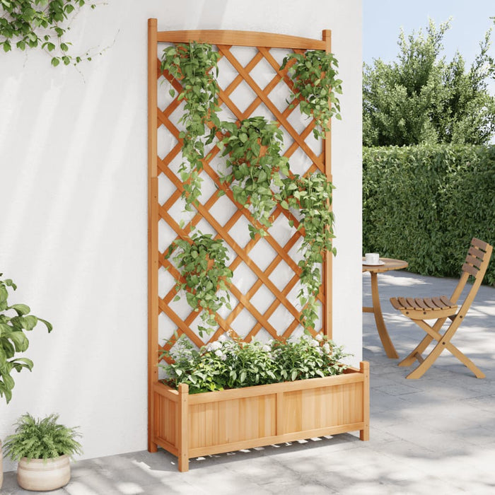Jardinieră cu spalier, maro, lemn masiv de brad - WALTI WALTI