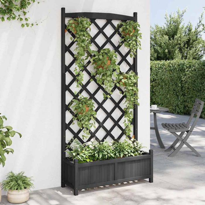 Jardinieră cu spalier, negru, lemn masiv de brad - WALTI WALTI
