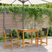 Set mobilier de balcon cu perne, 3 piese, lemn masiv acacia - WALTI WALTI