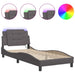 Cadru de pat cu lumini LED, gri, 80x200 cm, piele ecologică - WALTI WALTI