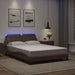 Cadru de pat cu lumini LED, maro, 120x200 cm, piele ecologică - WALTI WALTI