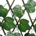 Spalier frunze struguri false extensibil 5 buc verde 190x60 cm - WALTI WALTI