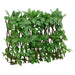 -Spalier cu iederă artificială, extensibil, verde, 180x30 cm - WALTI WALTI