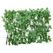 Spalier cu iederă artificială extensibil 5 buc. verde 180x30 cm - WALTI WALTI