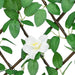 Spalier cu iederă artificială, extensibil, verde, 186x30 cm - WALTI WALTI