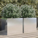 Jardiniere, 2 buc., argintiu 42x40x39 cm, oțel inoxidabil - WALTI WALTI