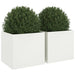 Jardiniere, 2 buc., alb, 49x47x46 cm, oțel - WALTI WALTI