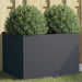Jardinieră, antracit, 62x47x46 cm, oțel - WALTI WALTI