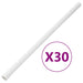 Șine de cabluri cu cleme, Ø30 mm, 30 m, PVC - WALTI WALTI