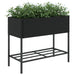 Jardiniere de grădină cu raft 2 buc. negru 90x40x75cm poliratan - WALTI WALTI
