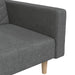 Canapea extensibilă cu 2 locuri, 2 perne, gri închis, textil - WALTI WALTI